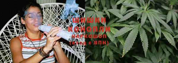 ПСИЛОЦИБИНОВЫЕ ГРИБЫ Арсеньев