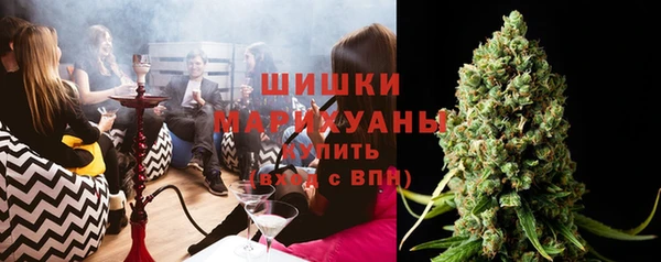 ПСИЛОЦИБИНОВЫЕ ГРИБЫ Арсеньев