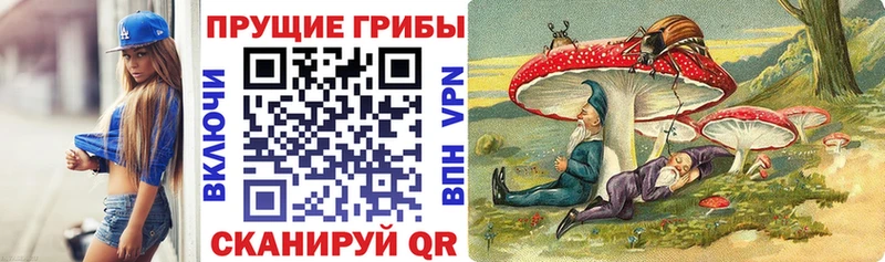 Галлюциногенные грибы ЛСД  Балтийск 