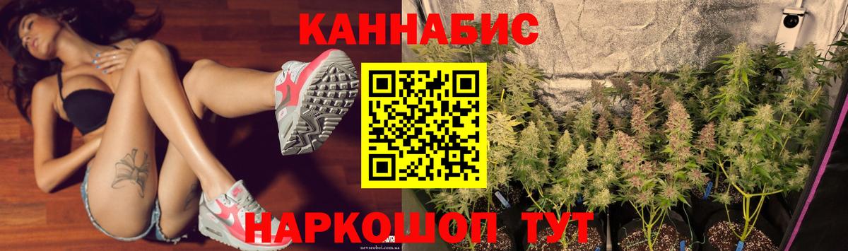 Каннабис план  Вход с VPN  Бошки марихуана SATIVA & INDICA  Конопля SATIVA & INDICA  Балтийск  Марихуана планчик 